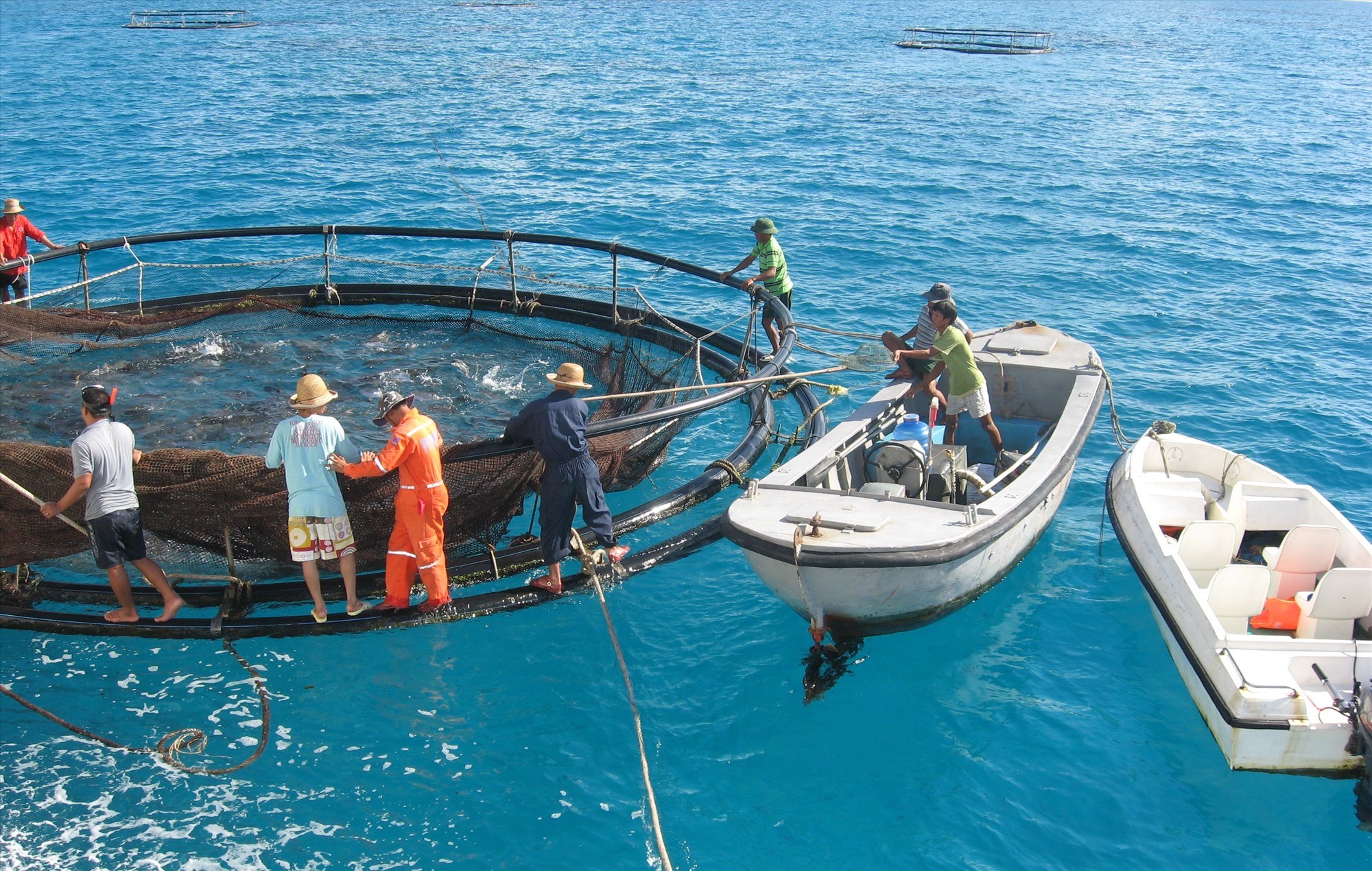 tnb-50439-1667491326.jpg