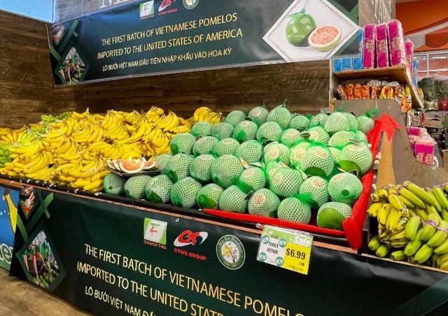 buoi-tuoi-viet-nam-tai-my-16700328291421693378903-crop-1670032944278521083934-1670125292.jpeg