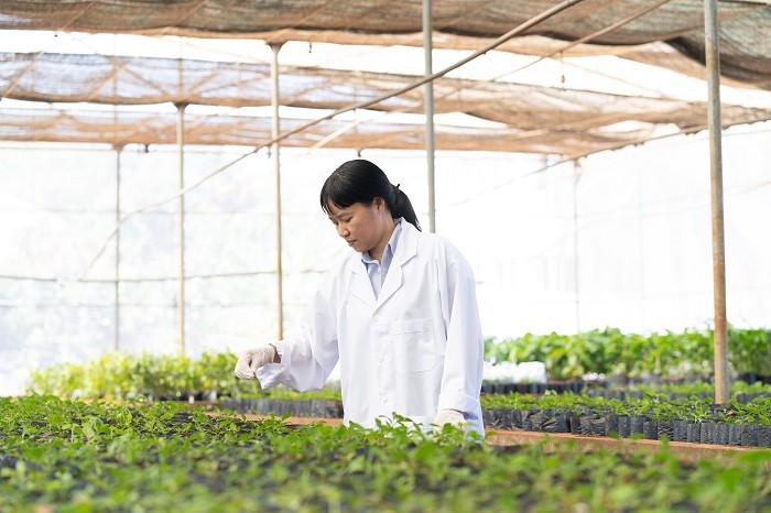 nestle-viet-nam-1670253776.jpg