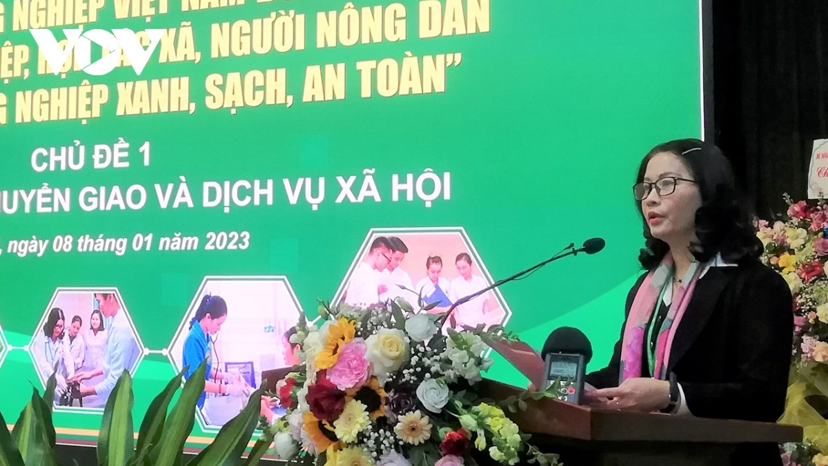 lan-1673165506.jpg