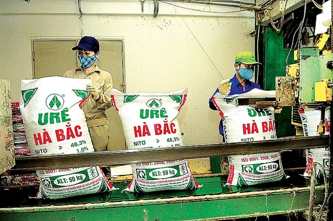co-ceo-moi-dam-ha-bac-ra-khoi-va-xoa-no-nan1570990474-1675071724.jpg