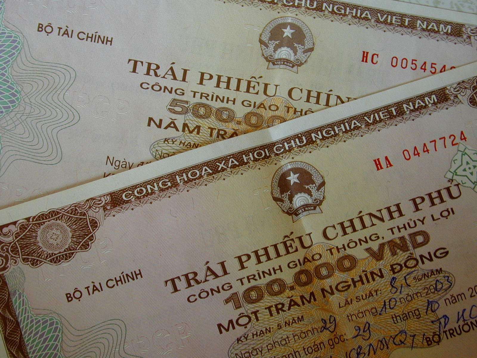 trai-ihes-1675312312.jpg
