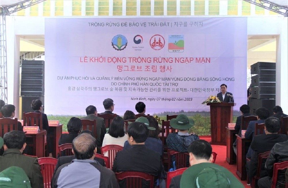 trong-rung-1675915940.jpg