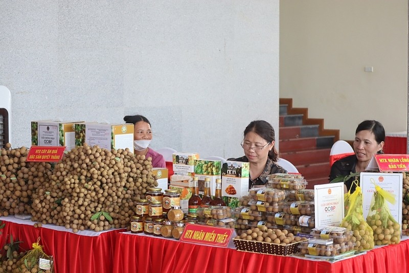 vi-thuy-1-1675905071.jpg