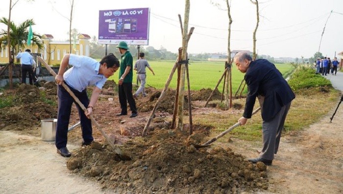 chu-nhat-xanh-1-1679221491.jpg