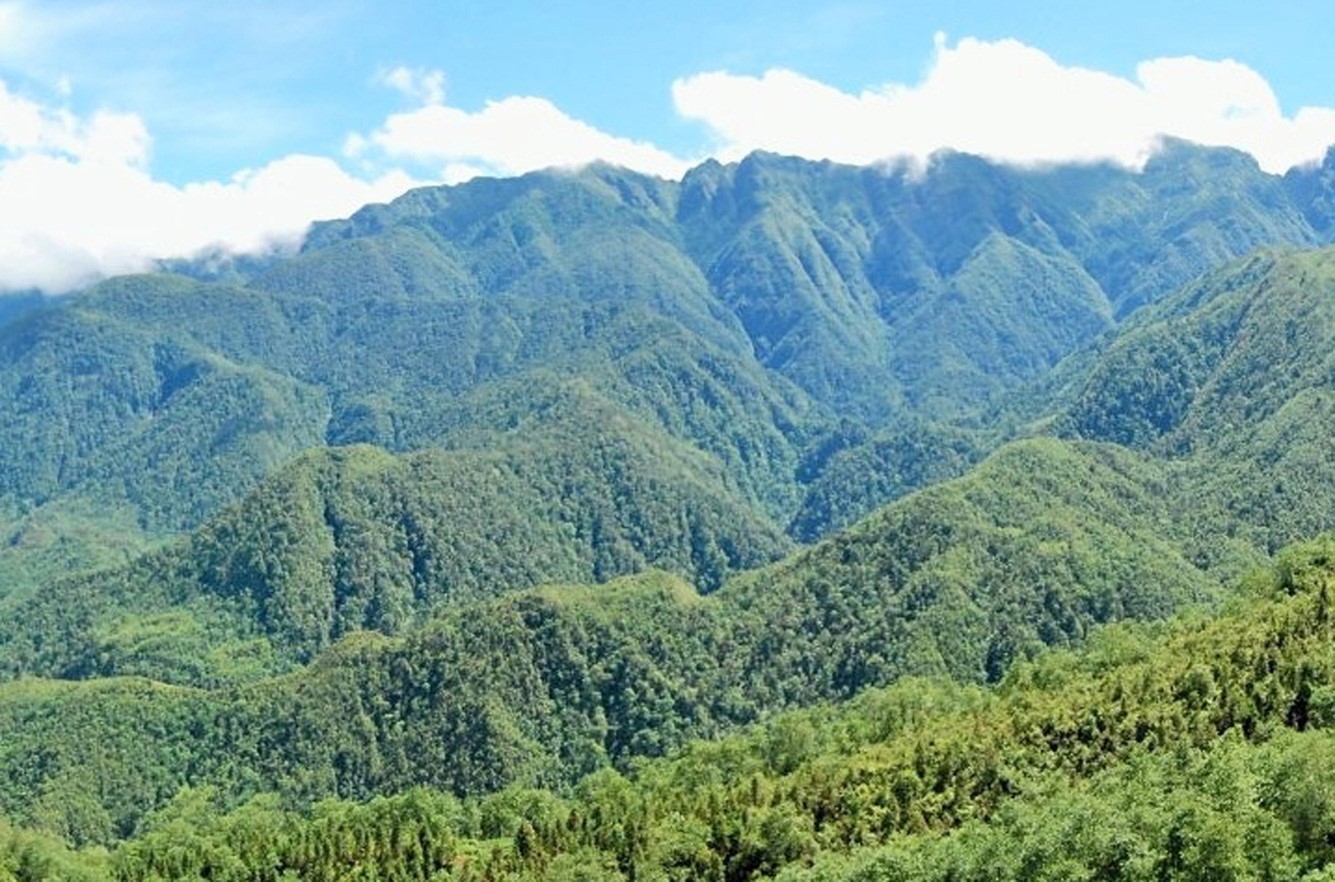 rung-quoc-gia-hoang-lien-1679500734.jpg