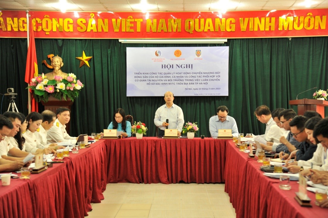 sdtgs-1680253465.jpg