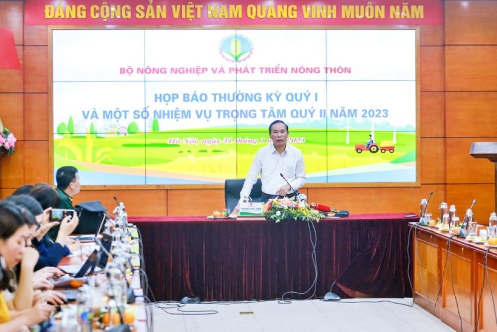 hop-bao-a-1680495160.jpg