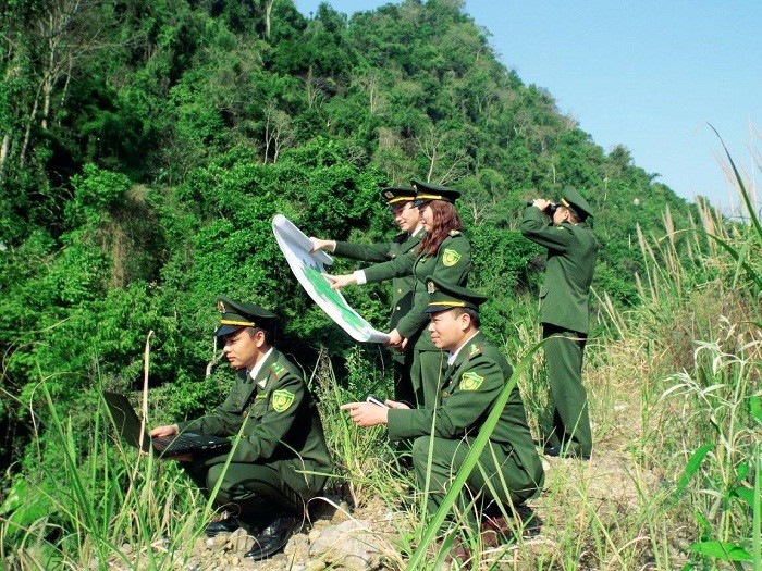 kiem-lam-2-1684505362.jpg
