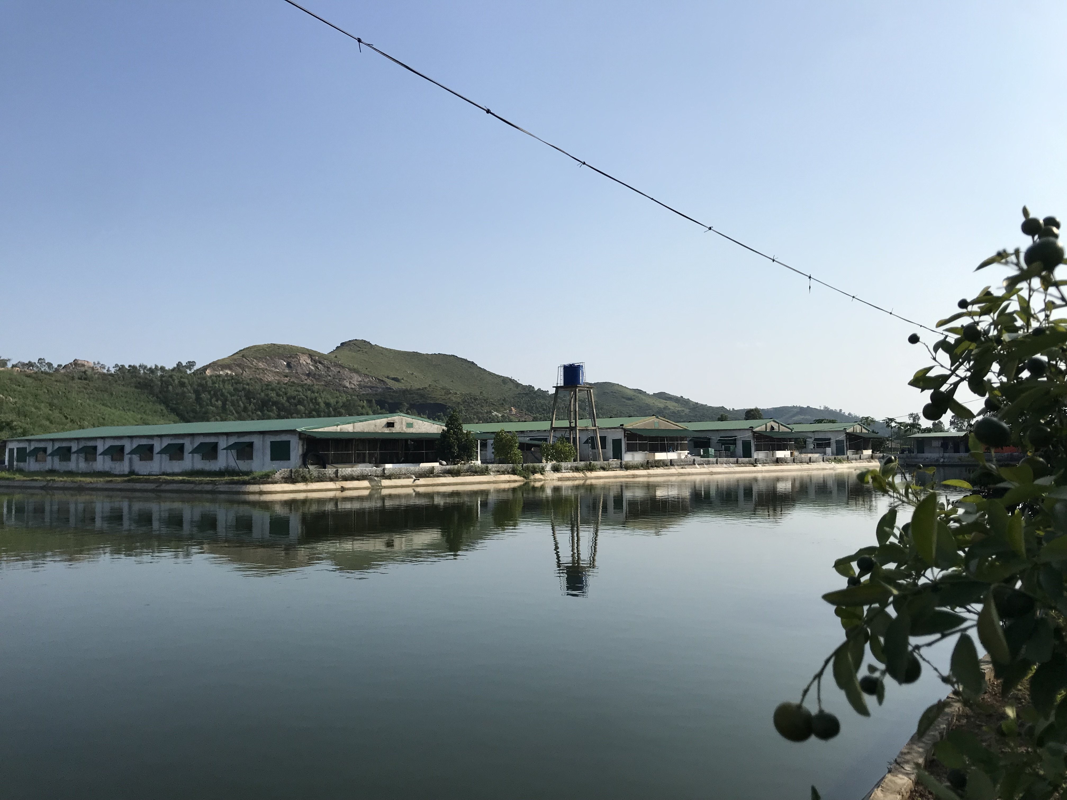 anh-cn-2-1685018905.jpg