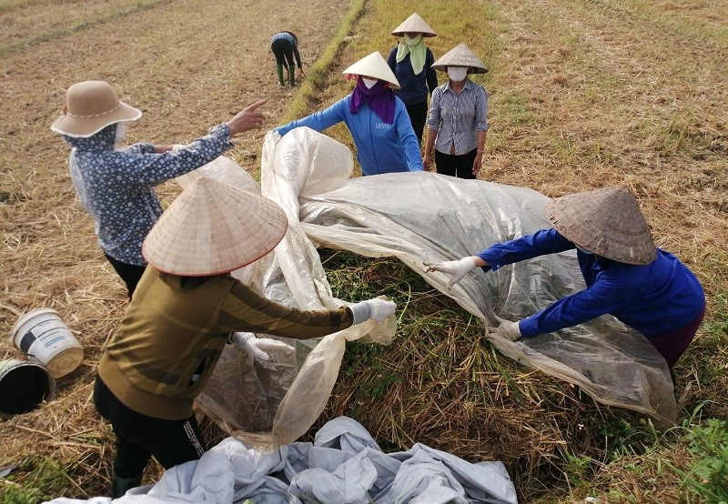 huong-dan-dau-bo-ky-thuat-xu-ly-rom-ra-thanh-phan-huu-co-3-1685365341.jpg