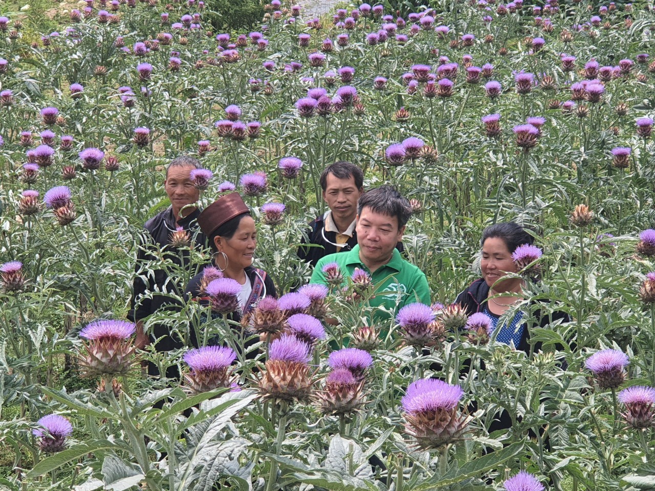 anh-sy-03-1685583120.jpg