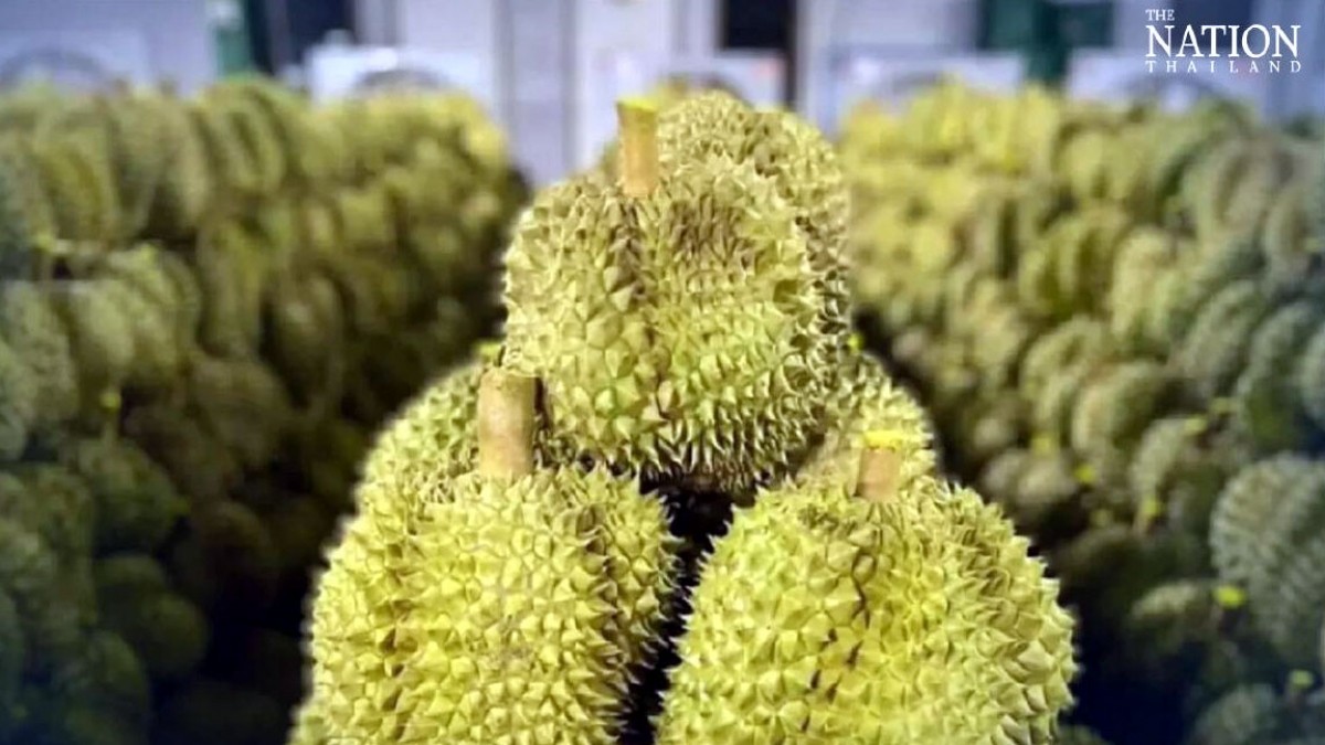 anh-minh-hoa-nguon-thenatio-1687689284.jpeg