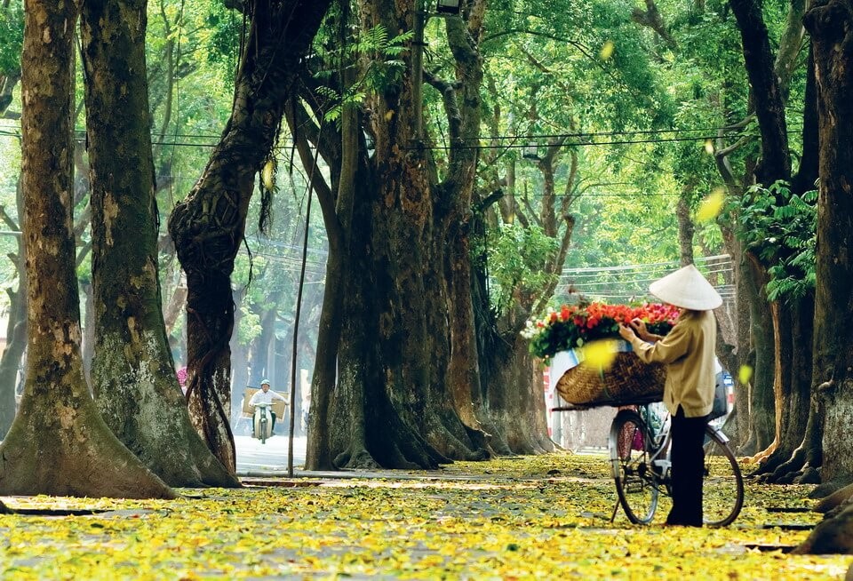 ha-noi-mua-thu-1691887190.jpg