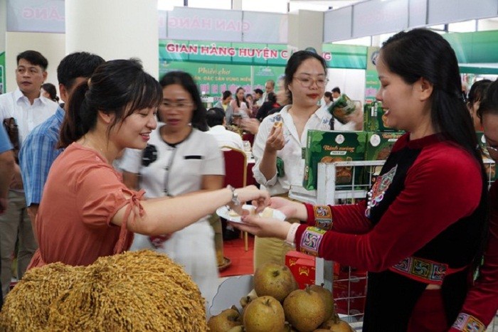 vung-mien-1692965366.jpg