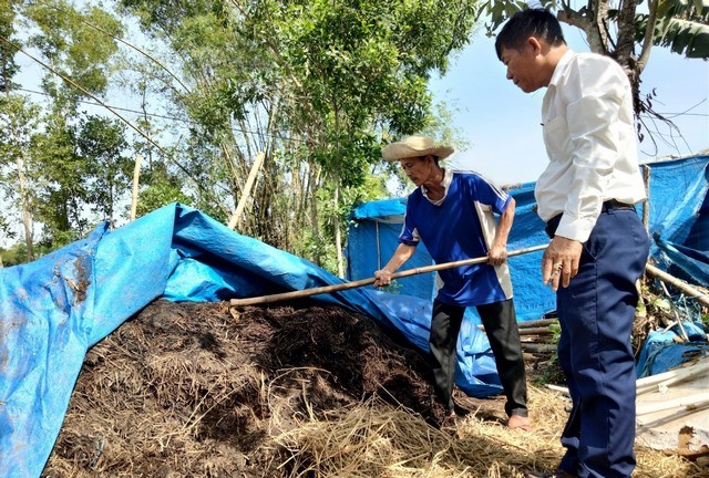 anh-2-phan-huu-co-u-tu-rom-ra-rat-giau-dinh-duong-cho-cay-1696926812.jpg