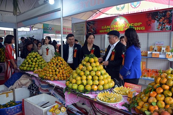 ocop-1698222609.jpg