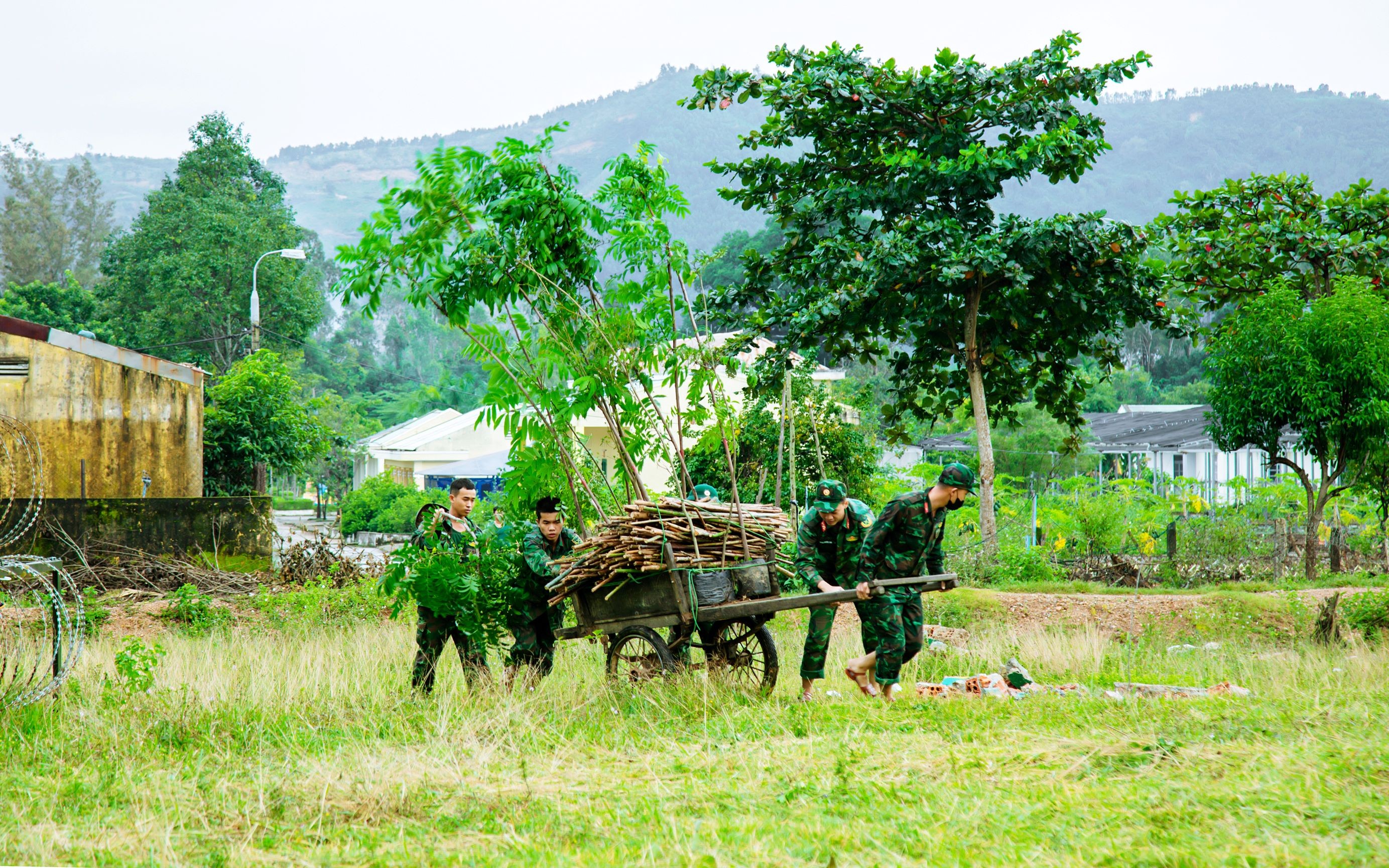 cac-chien-sy-mang-cay-ra-dia-diem-trong-1700930634.jpg