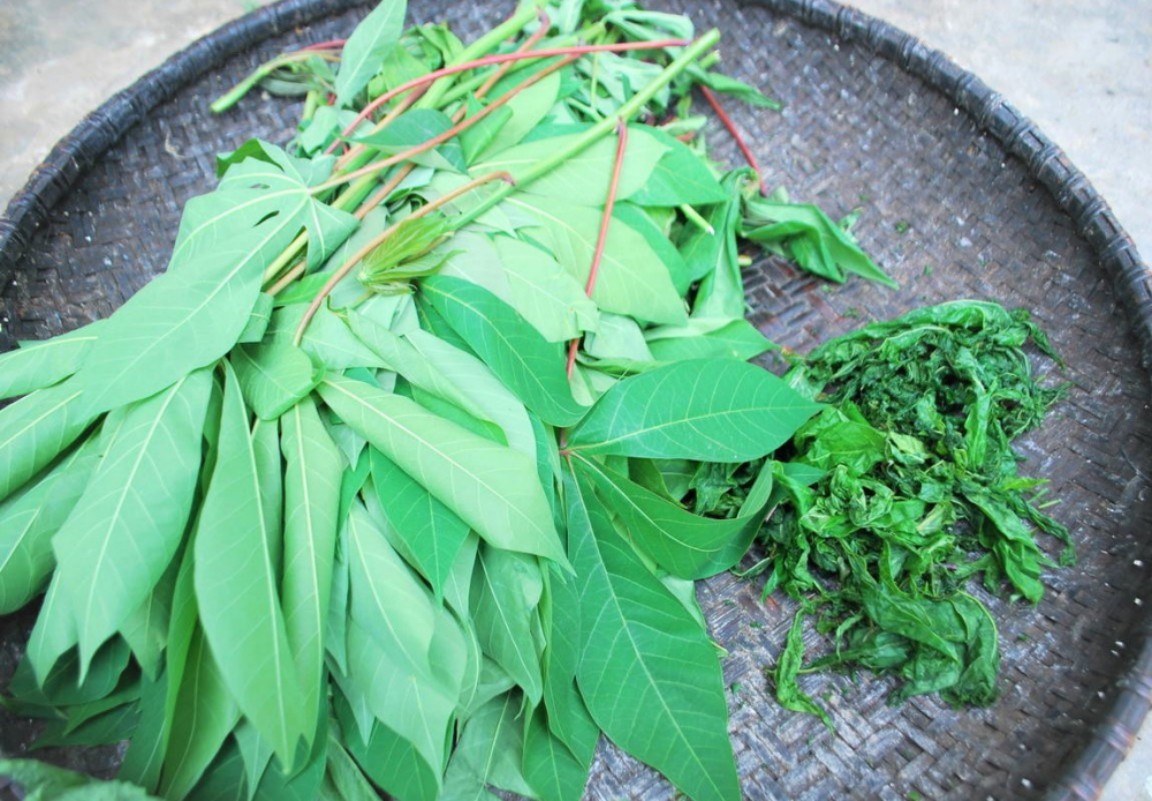 sau-muong-mon-ngon-dac-trung-mien-son-cuoc-5-1702134829.jpg