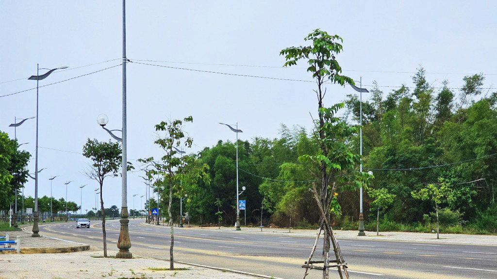 du-an-duong-hoang-sa-doc-soi-sau-khi-hoan-thanh-se-gop-phan-hoan-thien-mang-luoi-giao-thong-duong-bo-cua-tinh-quang-ngai-anh-vq-1702774150.jpg