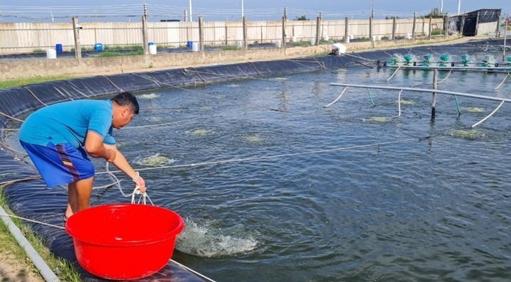 ty-phu-nuoi-tom-05-1704019514.jpg