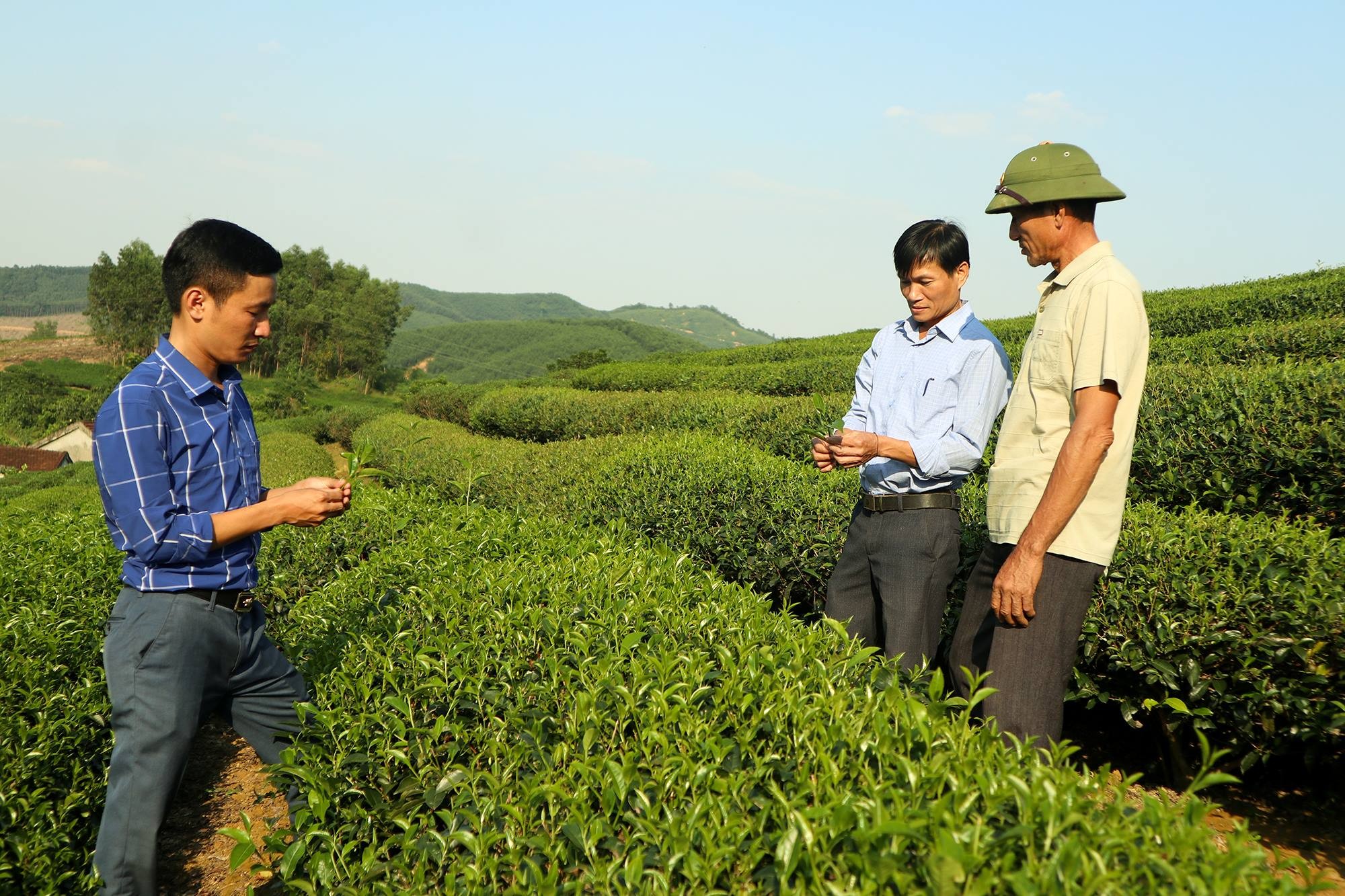 che-thah-chuong-3-1704338241.jpg
