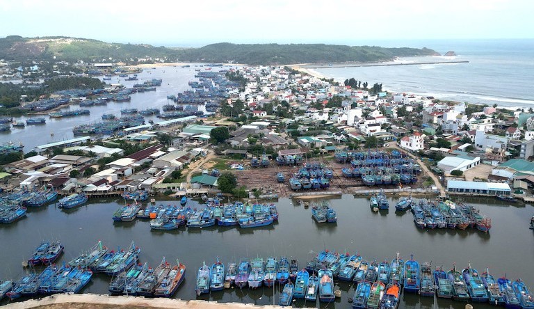 du-ca-truong-sa-01-1704701765.jpg