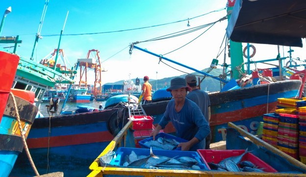 du-ca-truong-sa-03-1704701849.jpg