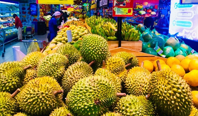 kiem-soat-sau-rieng-02-1705650955.jpg