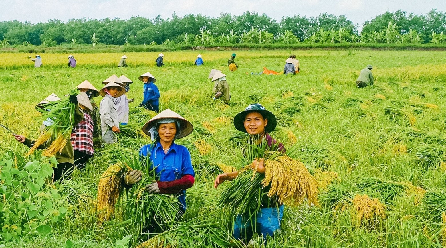 so-hoa-nong-nghiep-xanh-04-1706491793.jpg