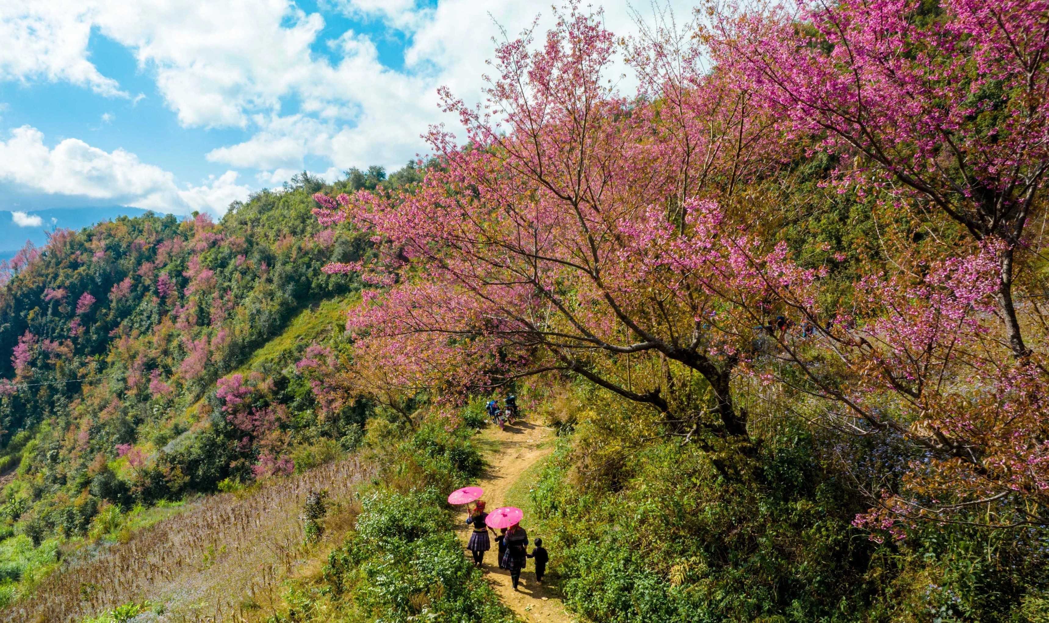 dao-rung-mu-cang-chai-04-1-1706838357.jpg