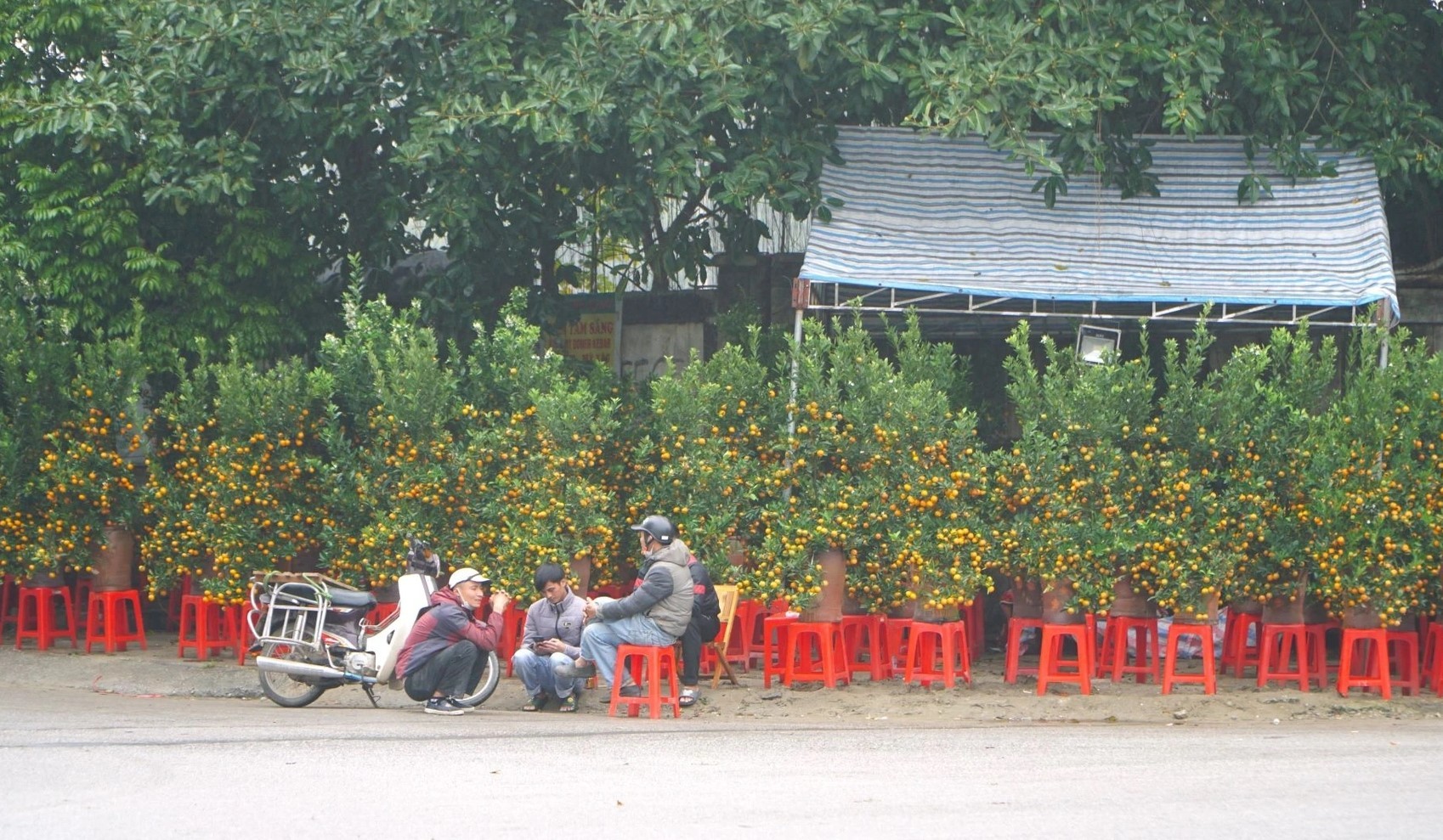 thi-truong-dao-quat-tet-02-1707352243.jpg
