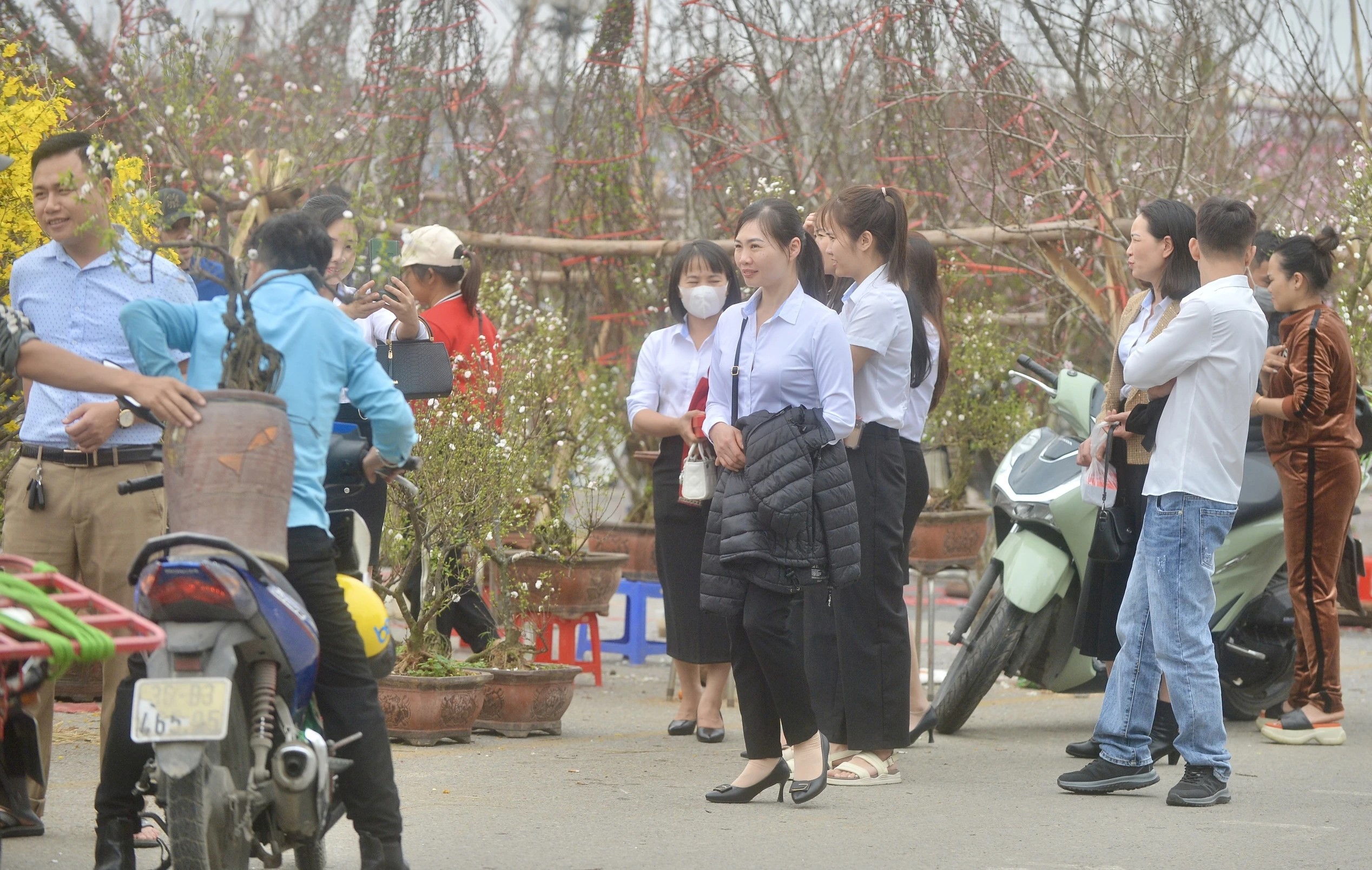 thi-truong-dao-quat-tet-04-1707352316.jpg