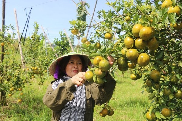 xay-dung-nong-thon-moi-giup-cho-kinh-te-dia-phuong-va-doi-song-cua-nguoi-dan-ngay-cang-duoc-nang-cao.jpg
