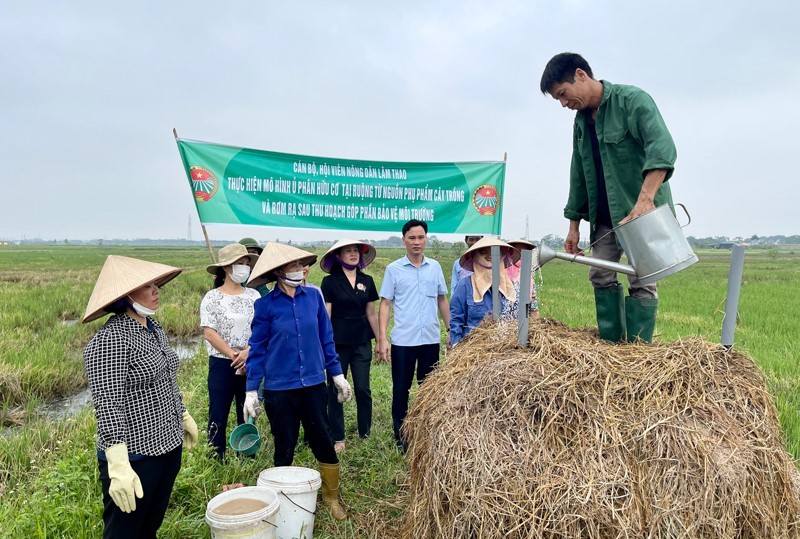 su-dung-phan-bon-huu-co-04-1709863283.jpg