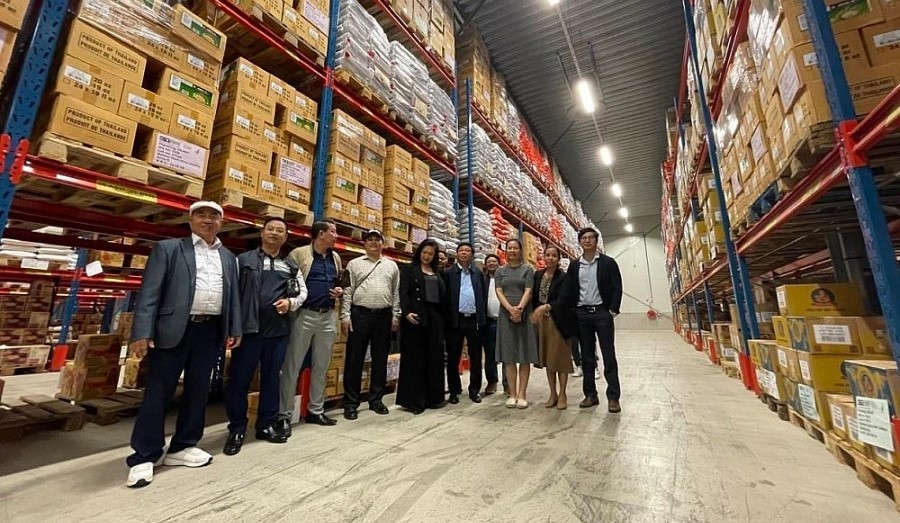 hop-tac-viet-nam-thuy-dien-04-1710316565.jpg