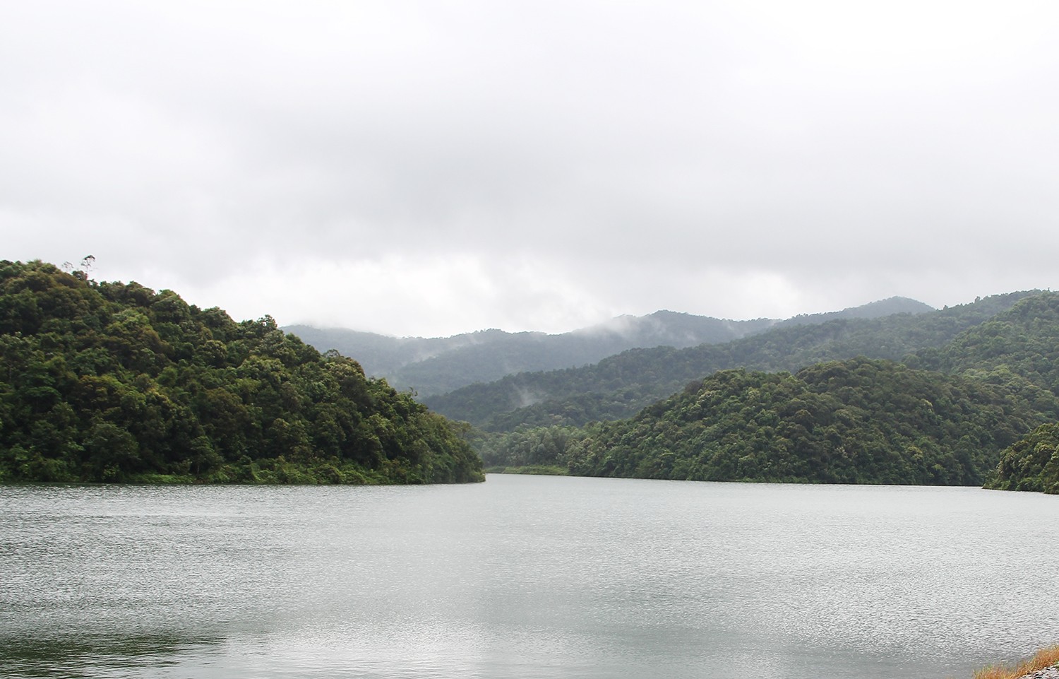 nguon-nuoc-1712640611.jpg