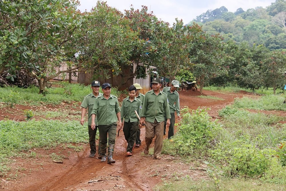 can-bo-va-cac-ho-dan-duoc-nhan-khoan-cung-di-kiem-tra-rung-1712962794.jpg