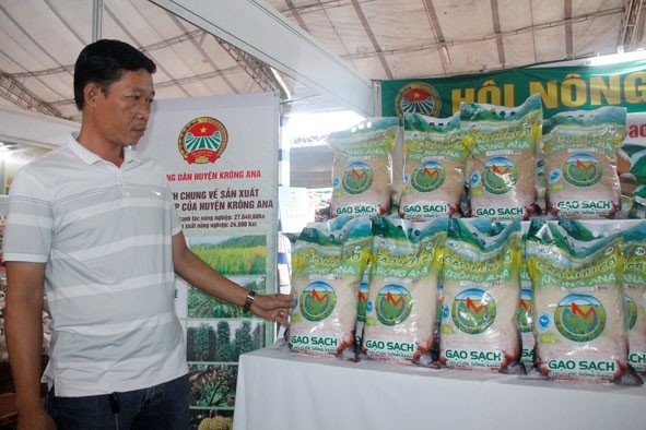 thuong-hieu-gao-krong-ana-mot-san-pham-ocop-4-sao-da-duoc-tinh-dak-lak-cong-nhan-1712961797.jpg
