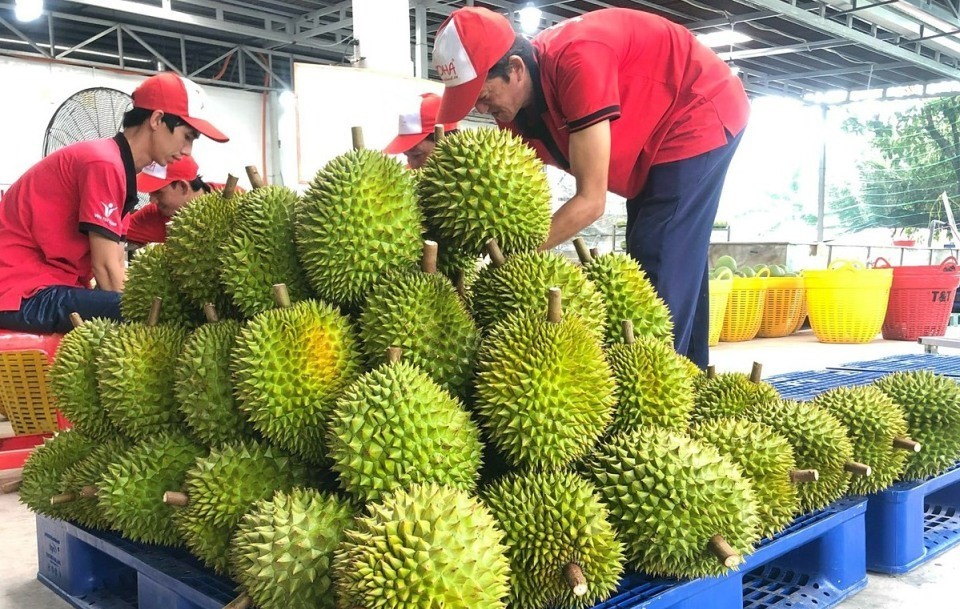 rau-cu-qua-viet-nam-tai-phap-03-1713081072.jpg