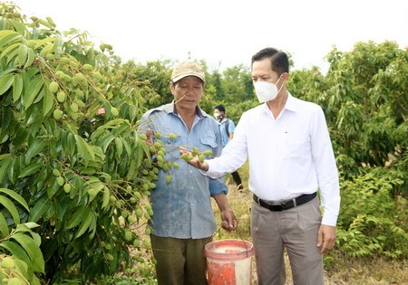 can-bo-phong-nn-ptnn-huyen-krong-bong-kiem-tra-vahuong-dan-nguoi-dan-ky-thuat-cham-soc-cay-vai-1713783240.jpg