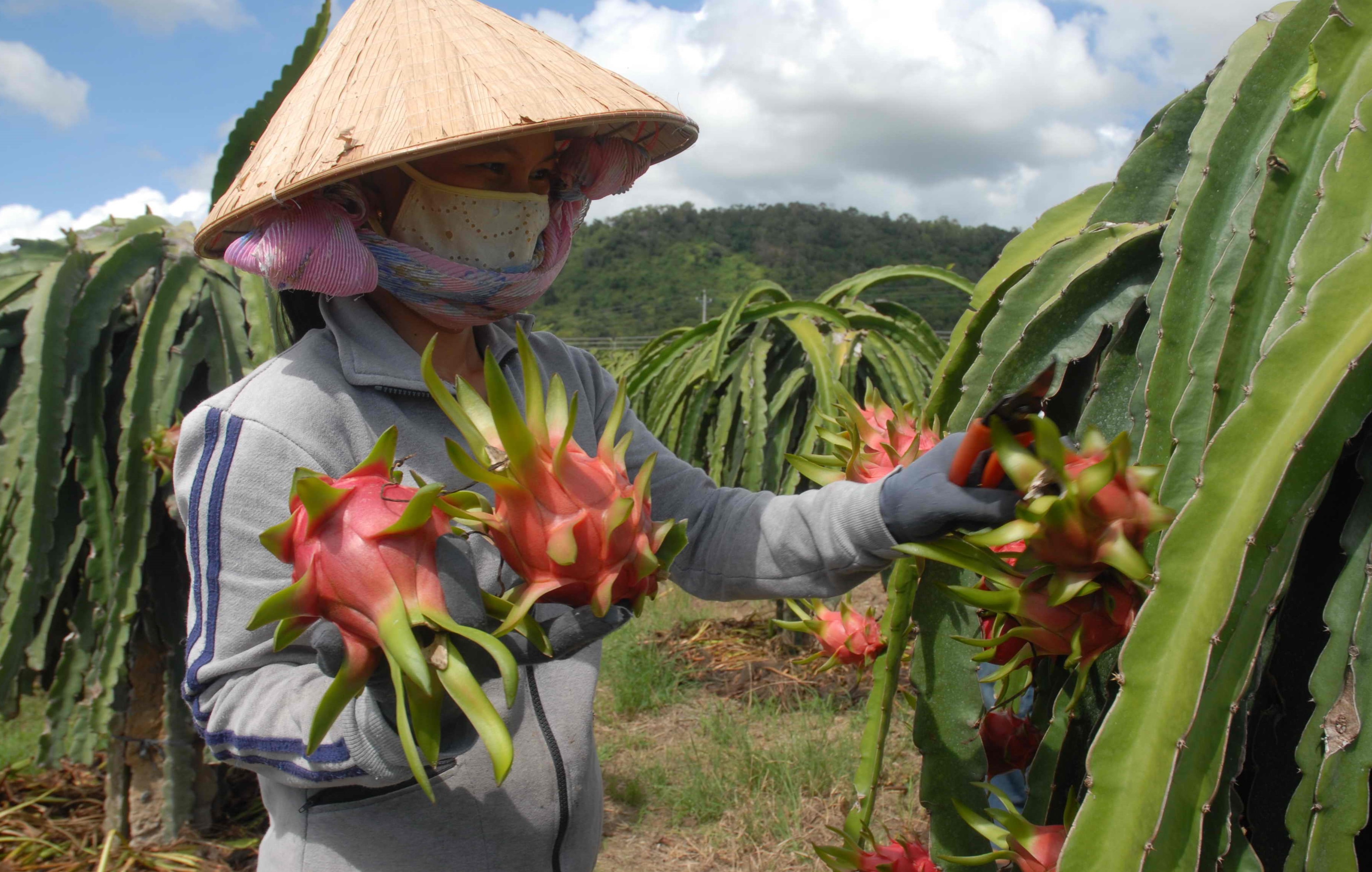 cong-nghe-tang-truong-xanh-03-1714611330.jpg