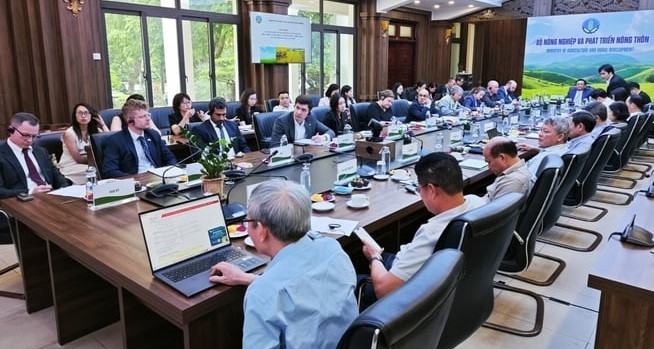 hop-tac-nong-nghiep-02-1715612061.jpg