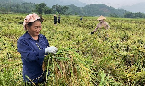 tri-thuc-hoa-nong-dan-01-1715569839.jpg