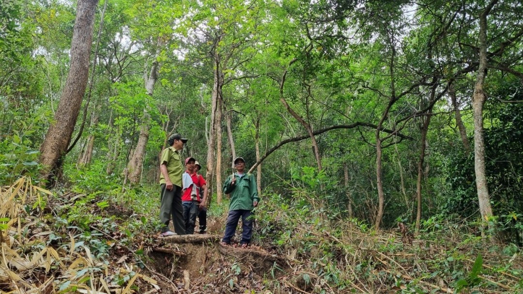 tham-gia-thi-truong-mua-ban-tin-chi-carbon-rung-giup-cac-dia-phuong-co-them-nguon-tai-chinh-cho-cong-tac-ql-bvr-1715660227.jpg