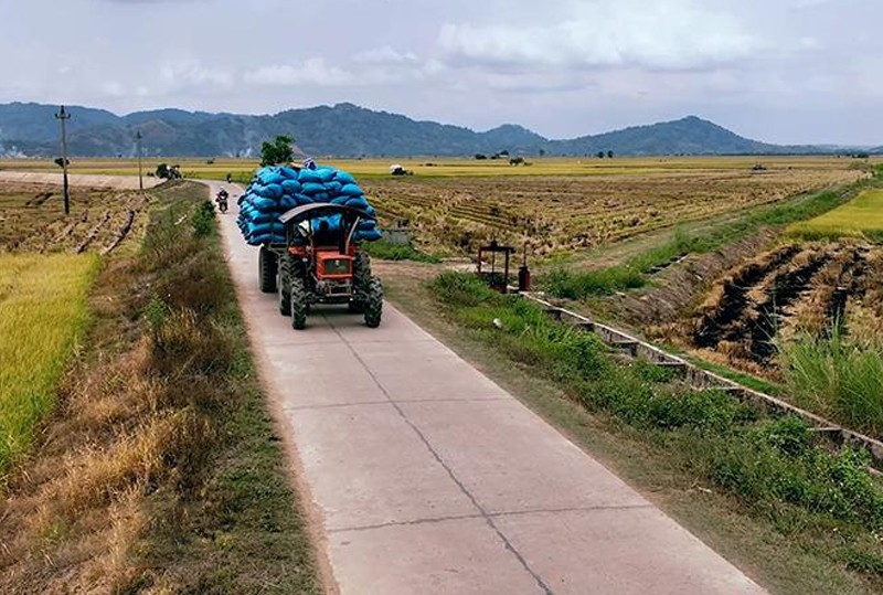 nong-dan-xa-binh-hoa-huyen-krong-ana-dua-lua-sau-khi-thu-hoach-ve-noi-tap-ket-de-thuong-lai-van-chuyen-ve-cac-tinh-mien-tay-1716181504.jpg