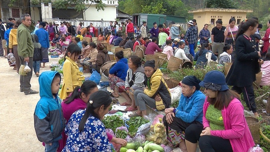 hoi-nghi-2-1717206788.jpg