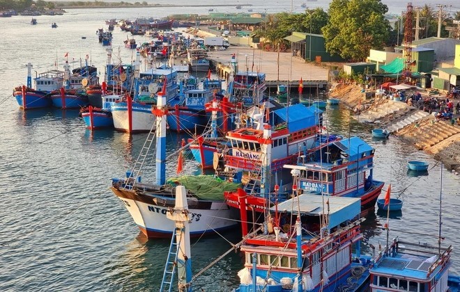 ninh-thuan-go-the-vang-iuu-02-1717730113.jpg