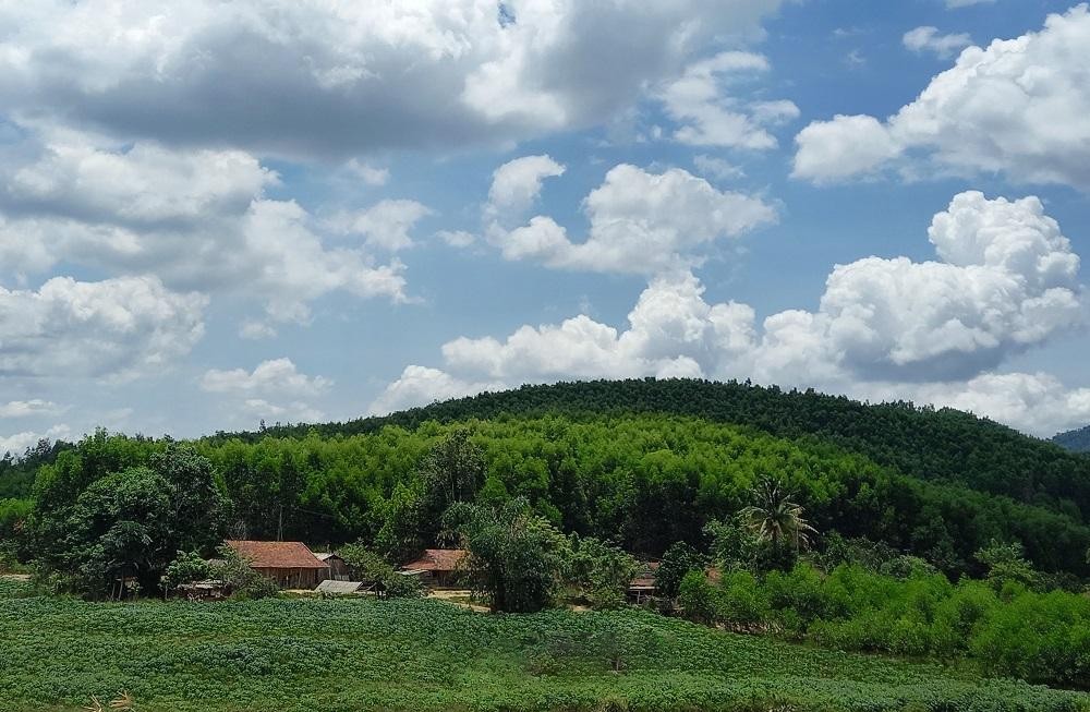 mot-khoanh-rung-trong-tai-xa-ea-trang-huyen-mdrak-1718694733.jpg