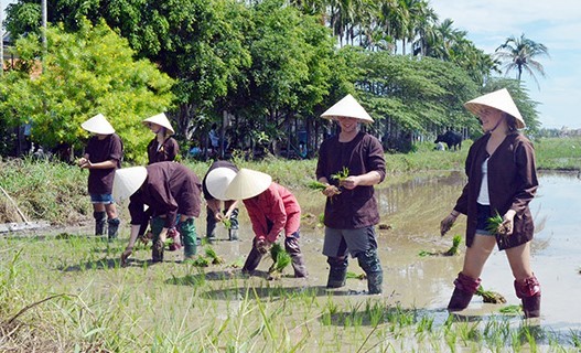 du-lich-nong-nghiep-nong-thon-3-1731314631.jpg
